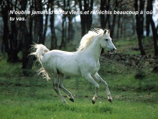 N'oublie jamais d’où tu viens et réfléchis beaucoup à  où tu vas. 