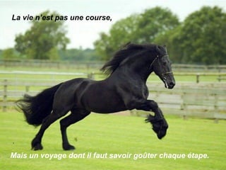La vie n’est pas une course, Mais un voyage dont il faut savoir goûter chaque étape. 