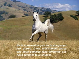 Ne te sous-estime pas en te comparant aux autres. C’est précisément parce que nous sommes tous différents que nous sommes tous uniques. 