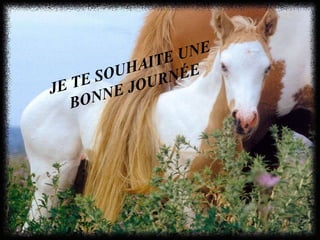 JE TE SOUHAITE UNE BONNE JOURNÉE 
