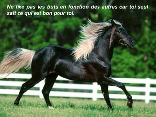 Ne fixe pas tes buts en fonction des autres car toi seul sait ce qui est bon pour toi. 