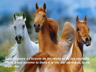 Sois toujours à l’écoute de tes rêves et de tes souhaits. Tiens à eux comme tu tiens à la vie, car sans eux, la vie n’est rien. 