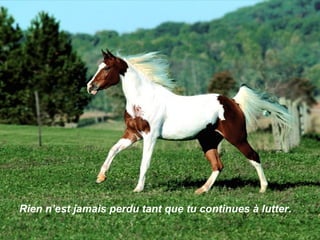 Rien n’est jamais perdu tant que tu continues à lutter. 