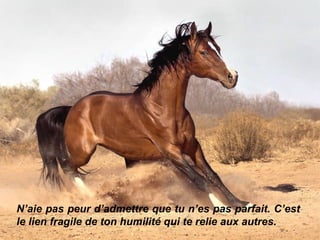 N’aie pas peur d’admettre que tu n’es pas parfait. C’est le lien fragile de ton humilité qui te relie aux autres. 