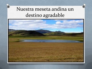 Nuestra meseta andina un
destino agradable
 