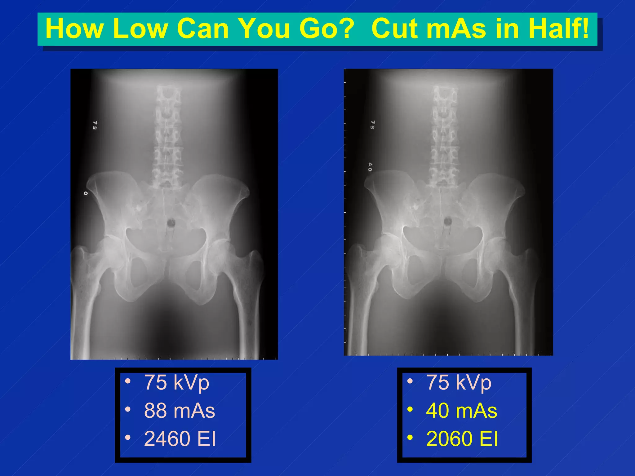 Ass Is My Mass Cut-Off main image 0