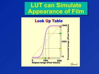 LUT can Simulate
Appearance of Film
LUT can Simulate
Appearance of Film
 