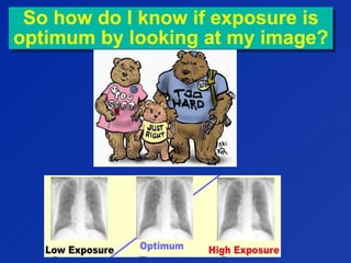 So how do I know if exposure is
optimum by looking at my image?
So how do I know if exposure is
optimum by looking at my image?
 