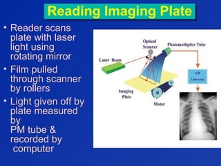 Reading Imaging PlateReading Imaging Plate
• Reader scans
plate with laser
light using
rotating mirror
• Film pulled
through scanner
by rollers
• Light given off by
plate measured
by
PM tube &
recorded by
computer
 