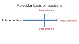 Molecular basis of mutations
Point mutations Base substitution
Base deletion
Base addition
13
 