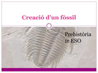 Creació d’un fòssil

              Prehistòria
              1r ESO
 