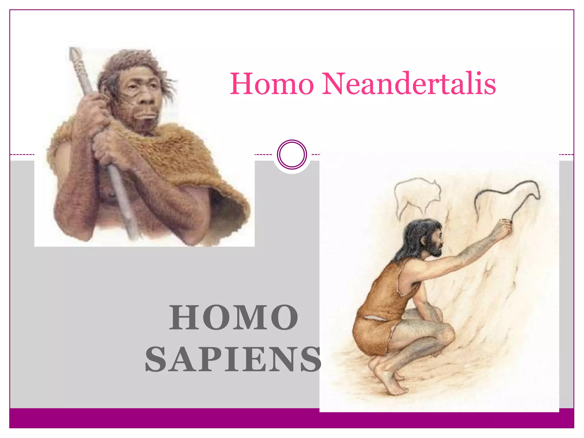 Homo Neandertalis




 HOMO
SAPIENS
 