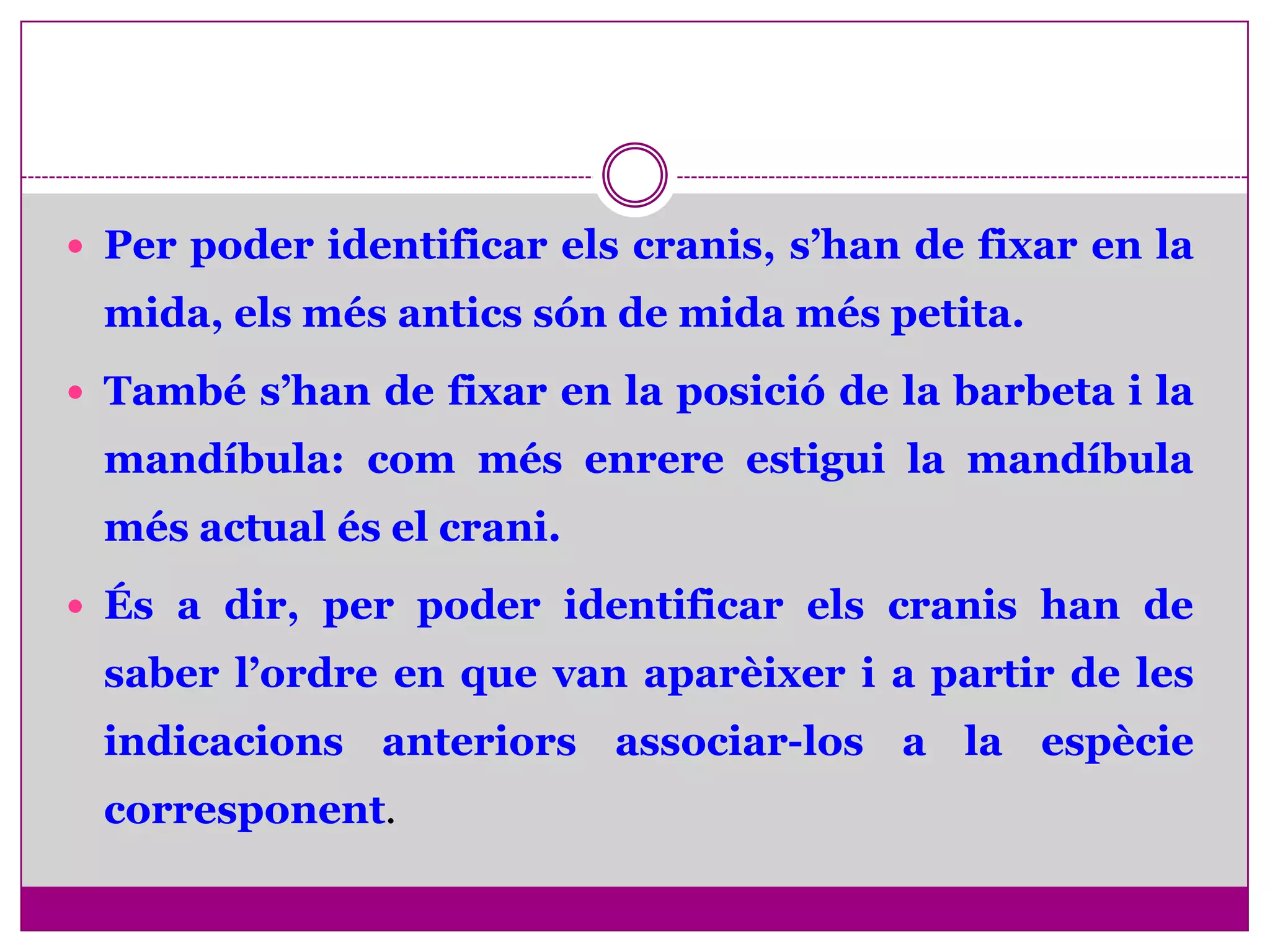  Per poder identificar els cranis, s’han de fixar en la
 mida, els més antics són de mida més petita.
 També s’han de fixar en la posició de la barbeta i la
 mandíbula: com més enrere estigui la mandíbula
 més actual és el crani.
 És a dir, per poder identificar els cranis han de
 saber l’ordre en que van aparèixer i a partir de les
 indicacions anteriors associar-los a la espècie
 corresponent.
 