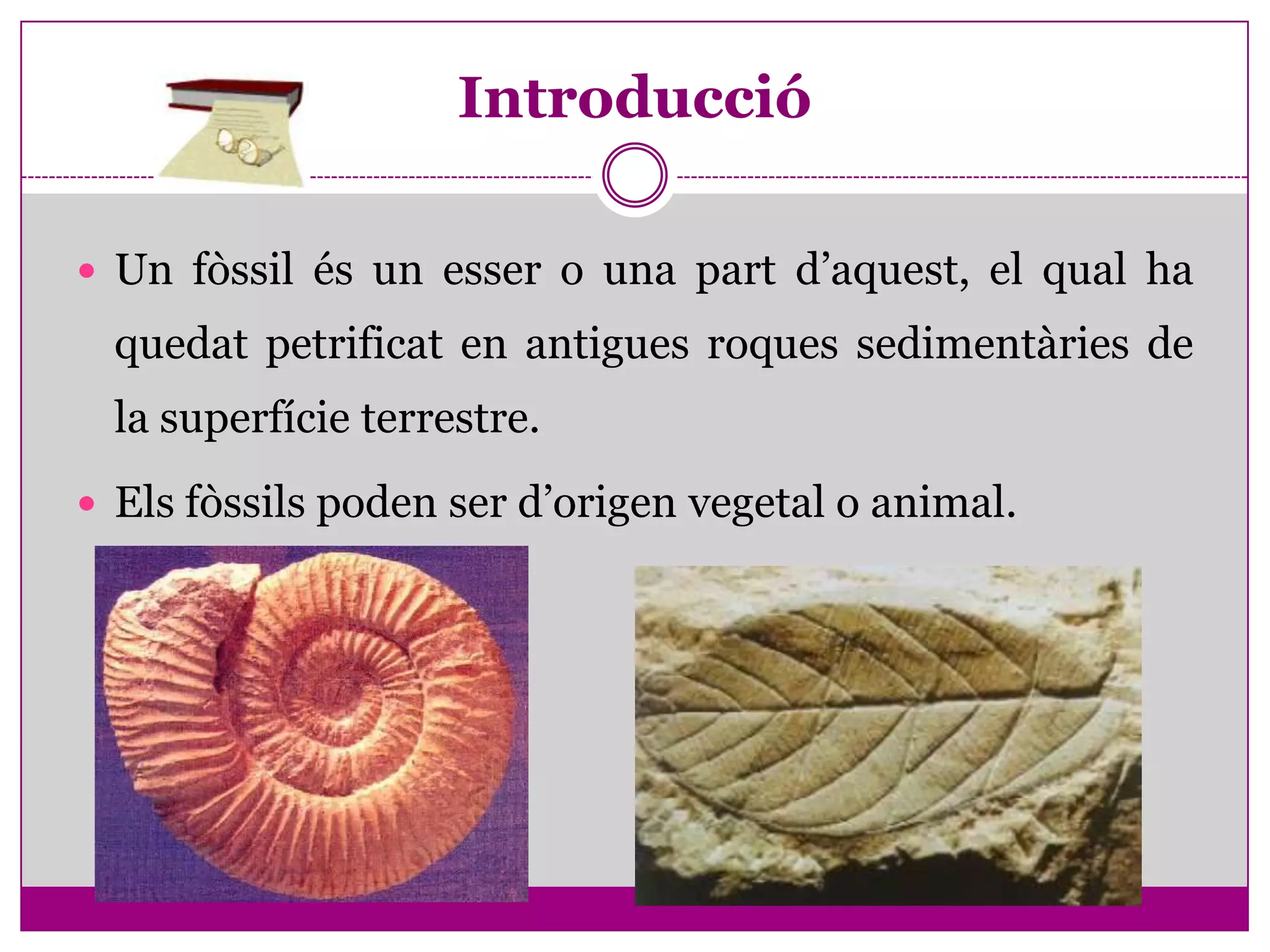 Introducció

 Un fòssil és un esser o una part d’aquest, el qual ha
  quedat petrificat en antigues roques sedimentàries de
  la superfície terrestre.
 Els fòssils poden ser d’origen vegetal o animal.
 