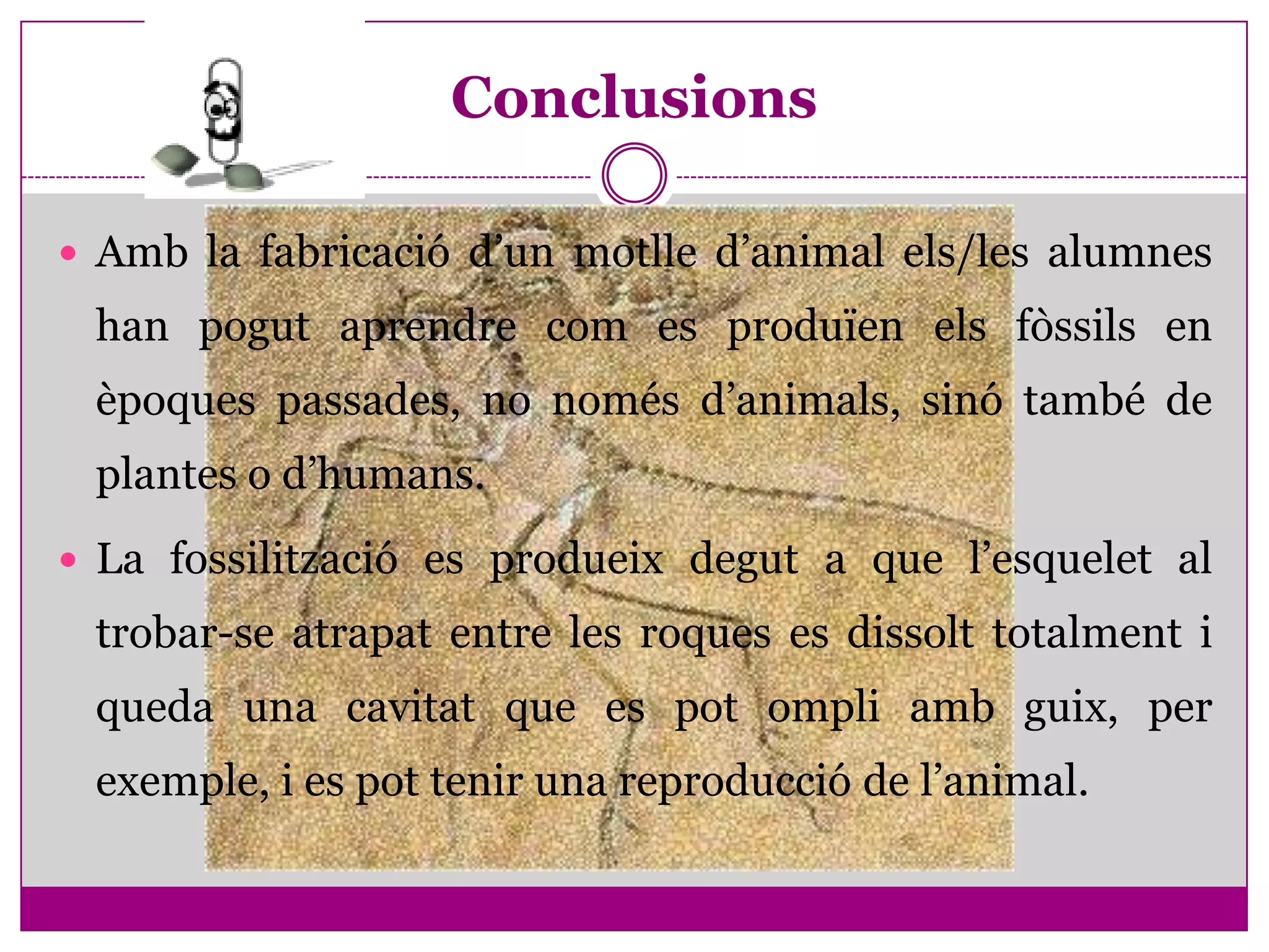 Conclusions

 Amb la fabricació d’un motlle d’animal els/les alumnes
 han pogut aprendre com es produïen els fòssils en
 èpoques passades, no només d’animals, sinó també de
 plantes o d’humans.
 La fossilització es produeix degut a que l’esquelet al
 trobar-se atrapat entre les roques es dissolt totalment i
 queda una cavitat que es pot ompli amb guix, per
 exemple, i es pot tenir una reproducció de l’animal.
 