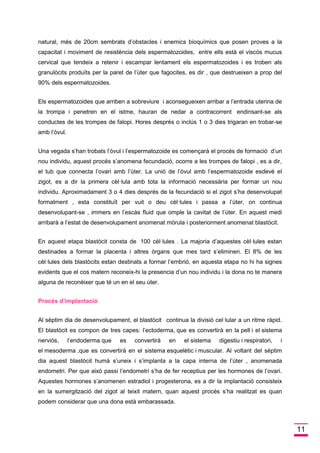 11 natural, més de 20cm sembrats d’obstacles i enemics bioquímics que posen proves a la capacitat i moviment de resistència dels espermatozoides, entre ells està el viscós mucus cervical que tendeix a retenir i escampar lentament els espermatozoides i es troben als granulòcits produïts per la paret de l’úter que fagocites, es dir , que destrueixen a prop del 90% dels espermatozoides. Els espermatozoides que arriben a sobreviure i aconsegueixen arribar a l’entrada uterina de la trompa i penetren en el istme, hauran de nedar a contracorrent endinsant-se als conductes de les trompes de falopi. Hores després o inclús 1 o 3 dies trigaran en trobar-se amb l’òvul. Una vegada s’han trobats l’òvul i l’espermatozoide es començarà el procés de formació d’un nou individu, aquest procés s’anomena fecundació, ocorre a les trompes de falopi , es a dir, el tub que connecta l’ovari amb l’úter. La unió de l’òvul amb l’espermatozoide esdevé el zigot, es a dir la primera cèl·lula amb tota la informació necessària per formar un nou individu. Aproximadament 3 o 4 dies després de la fecundació si el zigot s’ha desenvolupat formalment , esta constituït per vuit o deu cèl·lules i passa a l’úter, on continua desenvolupant-se , immers en l’escàs fluid que omple la cavitat de l’úter. En aquest medi arribarà a l’estat de desenvolupament anomenat mòrula i posteriorment anomenat blastòcit. En aquest etapa blastòcit consta de 100 cèl·lules . La majoria d’aquestes cèl·lules estan destinades a formar la placenta i altres òrgans que mes tard s’eliminen. El 8% de les cèl·lules dels blastòcits estan destinats a formar l’embrió, en aquesta etapa no hi ha signes evidents que el cos matern reconeix-hi la presencia d’un nou individu i la dona no te manera alguna de reconèixer que té un en el seu úter. Procés d’implantació Al sèptim dia de desenvolupament, el blastòcit continua la divisió cel·lular a un ritme ràpid. El blastòcit es compon de tres capes: l’ectoderma, que es convertirà en la pell i el sistema nerviós, l’endoderma que es convertirà en el sistema digestiu i respiratori, i el mesoderma ,que es convertirà en el sistema esquelètic i muscular. Al voltant del sèptim dia aquest blastòcit humà s’uneix i s’implanta a la capa interna de l’úter , anomenada endometri. Per que això passi l’endometri s’ha de fer receptius per les hormones de l’ovari. Aquestes hormones s’anomenen estradiol i progesterona, es a dir la implantació consisteix en la sumergització del zigot al teixit matern, quan aquest procés s’ha realitzat es quan podem considerar que una dona està embarassada.  