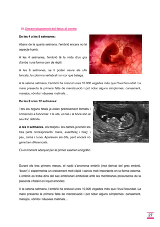 27 
XI.Desenvolupament del fetus al ventre 
De les 4 a les 8 setmanes: 
Abans de la quarta setmana, l’embrió encara no té aspecte humà. 
A les 4 setmanes, l’embrió té la mida d’un gra d’arròs i una forma com de rèptil. 
A les 6 setmanes, se li poden veure els ulls tancats, la columna vertebral i un cor que batega. 
A la setena setmana, l’embrió ha crescut unes 10.000 vegades més que l’òvul fecundat. La mare presenta la primera falta de menstruació i pot notar alguns símptomes: cansament, marejos, vòmits i nàusees matinals… 
De les 8 a les 12 setmanes: 
Tots els òrgans fetals ja estan pràcticament formats i comencen a funcionar. Els ulls, el nas i la boca són al seu lloc definitiu. 
A les 9 setmanes, els braços i les cames ja tenen les tres parts corresponents: mans, avantbraç i braç; i peu, cama i cuixa. Apareixen els dits, però encara no gaire ben diferenciats. 
És el moment adequat per al primer examen ecogràfic. 
Durant els tres primers mesos, el nadó s’anomena embrió (mot derivat del grec embrió, ‘llavor’) i experimenta un creixement molt ràpid i canvis molt importants en la forma externa. L’embrió es troba dins del sac embrionari embolicat amb les membranes precursores de la placenta i flotant en líquid amniòtic. 
A la setena setmana, l’embrió ha crescut unes 10.000 vegades més que l’òvul fecundat. La mare presenta la primera falta de menstruació i pot notar alguns símptomes: cansament, marejos, vòmits i nàusees matinals…  
