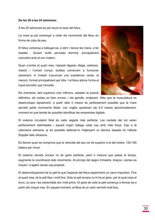 30 
De les 20 a les 24 setmanes: 
A les 20 setmanes es pot veure el sexe del fetus. 
La mare ja pot començar a notar els moviments del fetus en forma de cops de peu. 
El fetus comença a bellugar-se, a obrir i tancar les mans, a fer badalls… Durant molts períodes dormirà, principalment coincidint amb el son matern. 
Quan s’arriba al quart mes, l’aparell digestiu (fetge, estómac, intestí) i l’urinari (ronyó, bufeta) comencen a funcionar clarament. A l’intestí s’acumula una substància verda, el meconi, format principalment per bilis. I el fetus aboca l’orina al líquid amniòtic que l’envolta. 
Els membres, tant superiors com inferiors, adopten la posició definitiva: els colzes es tiren enrere, i els genolls, endavant. Atès que la musculatura es desenvolupa ràpidament, a partir dels 4 mesos és perfectament possible que la mare percebi petits moviments fetals. Les ungles apareixen als 4-5 mesos aproximadament, moment en què també és possible identificar les empremtes digitals. 
El sistema circulatori fetal és cada vegada més perfecte. Les cavitats del cor estan perfectament delimitades i aquest òrgan batega cada cop amb més força. Cap a la catorzena setmana, ja és possible detectar-lo mitjançant un tècnica basada en l’efecte Doppler dels ultrasons. 
És llavors quan es comprova que la velocitat del seu cor és superior a la del nostre: 120-160 batecs per minut. 
El sistema nerviós encara no és gaire perfecte, però a mesura que passa el temps, augmenta la coordinació dels moviments. Al principi del segon trimestre, braços i cames es mouen i s’agiten sense cap propòsit. 
El desenvolupament de la pell fa que l’aspecte del fetus experimenti un canvi important. Fins al quart mes, té la pell llisa i molt fina. Sota la pell encara no hi ha el greix, per la qual cosa el tronc, la cara i les extremitats són molt prims. El greix de sota la pell comença a formar-se a partir del cinquè mes. En aquest moment, el fetus té un color vermell molt fosc.  