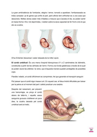 34 
La gran ambivalència de l’embaràs, alegria i temor, tornarà a aparèixer; l’embarassada es troba cansada i ja té ganes que arribi el part, però alhora tem enfrontar-se a una cosa que desconeix. Moltes dones estan més irritables a mesura que s’acosta el dia, es poden sentir en baixa forma i fins i tot deprimides, i dubten sobre la seva capacitat de fer front a tot el que els ve a sobre. 
S’ha d’intentar descansar i estar relaxada és la millor opció. 
El cordó umbilical: És una mena d’espiral blanquinosa d’1 a 2 centímetres de diàmetre, constituïda a partir de les cèl•lules de l’amni. Forma una funda gelatinosa a través de la qual es poden veure les artèries i la vena, que d’aquesta manera queden protegides de possibles cops. 
Flexible i elàstic, el cordó difícilment es comprimeix, fet que garanteix el transport sanguini 
Pot passar que el cordó sigui massa curt. En aquest cas, el fetus tindrà dificultats per baixar per la pelvis en el moment del part i caldrà practicar una cesària. 
Després del naixement, per prevenir una hemorràgia, es pinça el cordó abans de tallar-lo, i aquells vasos sanguinis gruixuts s’obliteren en pocs dies; la cicatriu deixada pel cordó umbilical serà el melic. 
 