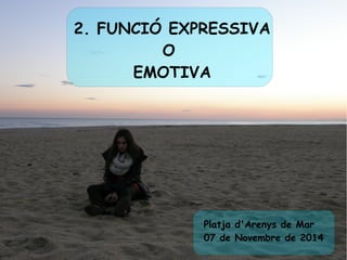 2. FUNCIÓ EXPRESSIVA 
O 
EMOTIVA 
Platja d'Arenys de Mar 
07 de Novembre de 2014 
 