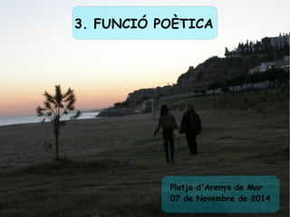 3. FUNCIÓ POÈTICA 
Platja d'Arenys de Mar 
07 de Novembre de 2014 
 