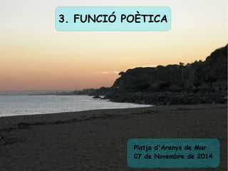 3. FUNCIÓ POÈTICA 
Platja d'Arenys de Mar 
07 de Novembre de 2014 
 