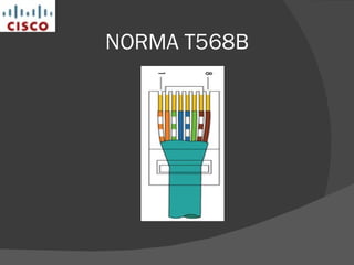 NORMA T568B 