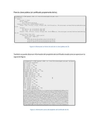 Para la clave pública (el certificado propiamente dicho). 
Figura 4: Información en forma de texto de la clave pública de CA. 
También se puede observar información del propósito del certificado creado como se aprecia en la siguiente figura: 
Figura 5: Información acerca del propósito del certificado de CA. 
 
