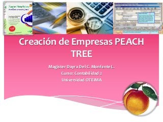 Creación de Empresas PEACH
TREE
Magister Dayra Del C. Monfante L.
Curso: Contabilidad 2
Universidad OTEIMA
 