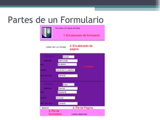 Partes de un Formulario 