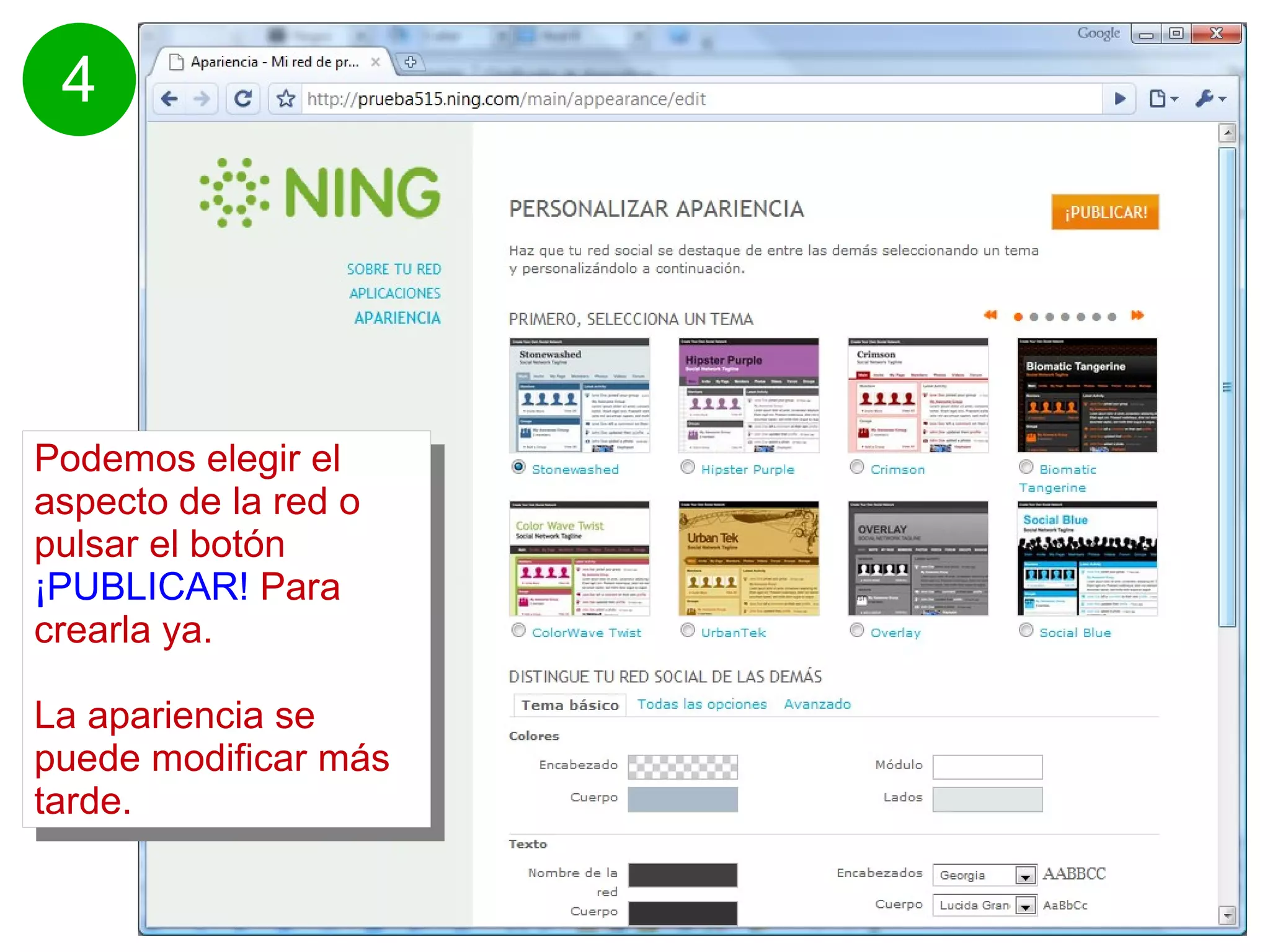 Podemos elegir el aspecto de la red o pulsar el botón ¡PUBLICAR! Para crearla ya. La apariencia se puede modificar más tarde.