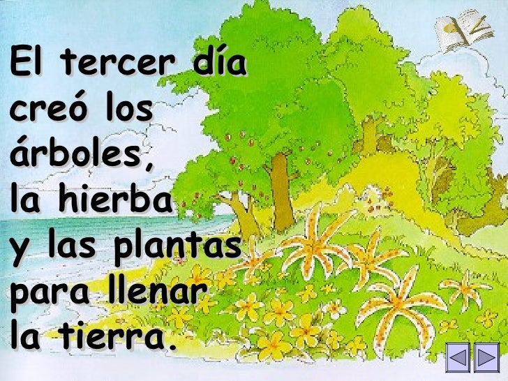 Creacion