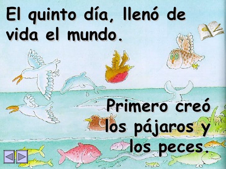 Creacion