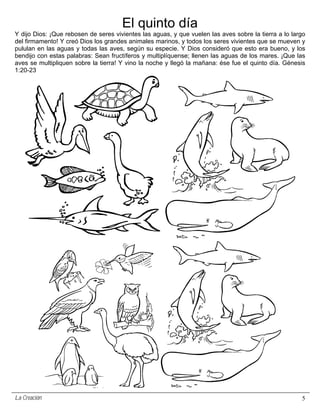El quinto día
Y dijo Dios: ¡Que rebosen de seres vivientes las aguas, y que vuelen las aves sobre la tierra a lo largo
del firmamento! Y creó Dios los grandes animales marinos, y todos los seres vivientes que se mueven y
pululan en las aguas y todas las aves, según su especie. Y Dios consideró que esto era bueno, y los
bendijo con estas palabras: Sean fructíferos y multiplíquense; llenen las aguas de los mares. ¡Que las
aves se multipliquen sobre la tierra! Y vino la noche y llegó la mañana: ése fue el quinto día. Génesis
1:20-23




La Creación                                                                                           5
 