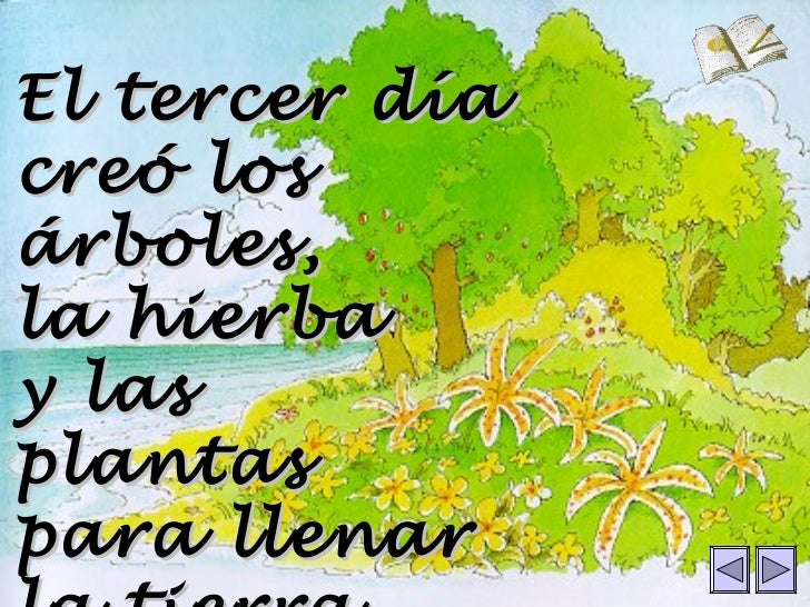 Creacion