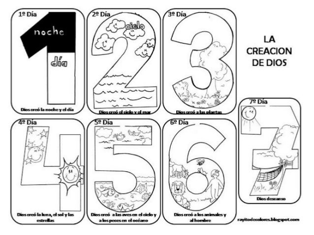 Fichas Creación