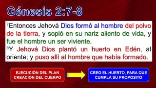 7Entonces Jehová Dios formó al hombre del polvo
de la tierra, y sopló en su nariz aliento de vida, y
fue el hombre un ser viviente.
8Y Jehová Dios plantó un huerto en Edén, al
oriente; y puso allí al hombre que había formado.
EJECUCIÓN DEL PLAN
CREACION DEL CUERPO
CREO EL HUERTO, PARA QUE
CUMPLA SU PROPOSITO
 