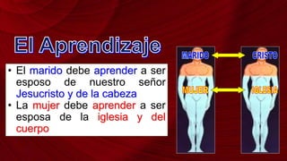 • El marido debe aprender a ser
esposo de nuestro señor
Jesucristo y de la cabeza
• La mujer debe aprender a ser
esposa de la iglesia y del
cuerpo
 
