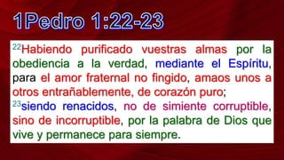 22Habiendo purificado vuestras almas por la
obediencia a la verdad, mediante el Espíritu,
para el amor fraternal no fingido, amaos unos a
otros entrañablemente, de corazón puro;
23siendo renacidos, no de simiente corruptible,
sino de incorruptible, por la palabra de Dios que
vive y permanece para siempre.
 