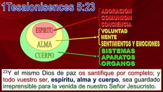 23Y el mismo Dios de paz os santifique por completo; y
todo vuestro ser, espíritu, alma y cuerpo, sea guardado
irreprensible para la venida de nuestro Señor Jesucristo.
 