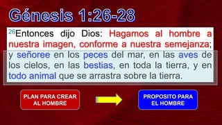 26Entonces dijo Dios: Hagamos al hombre a
nuestra imagen, conforme a nuestra semejanza;
y señoree en los peces del mar, en las aves de
los cielos, en las bestias, en toda la tierra, y en
todo animal que se arrastra sobre la tierra.
PLAN PARA CREAR
AL HOMBRE
PROPOSITO PARA
EL HOMBRE
 