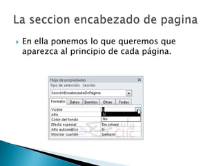 En ella ponemos lo que queremos que aparezca al principio de cada página.La seccion encabezado de pagina