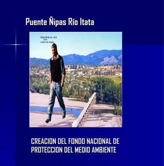 Puente Ñipas Río  Itata CREACION DEL FONDO NACIONAL DE  PROTECCION DEL MEDIO AMBIENTE 