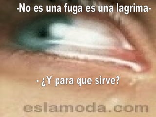 -No es una fuga es una lagrima- - ¿Y para que sirve? 