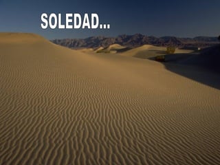 SOLEDAD... 