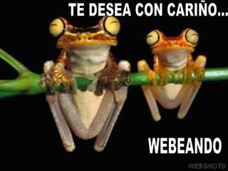 TE DESEA CON CARIÑO... WEBEANDO 