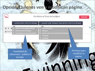 Opción: Quienes ven y modifican página
Posibilidad de
seleccionar : público o
privado.
Permisos para
modificar la
página.
 
