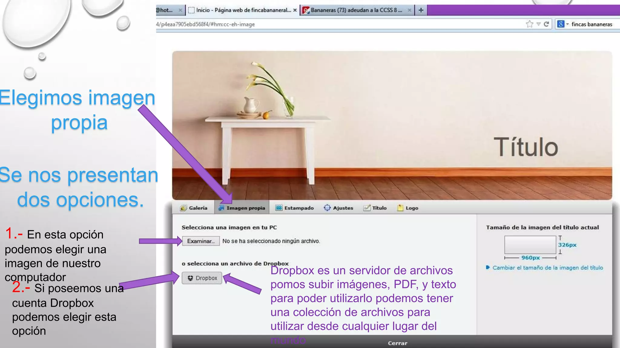 Elegimos imagen
propia
Se nos presentan
dos opciones.
1.- En esta opción
podemos elegir una
imagen de nuestro
computador
2.- Si poseemos una
cuenta Dropbox
podemos elegir esta
opción
Dropbox es un servidor de archivos
pomos subir imágenes, PDF, y texto
para poder utilizarlo podemos tener
una colección de archivos para
utilizar desde cualquier lugar del
mundo
 