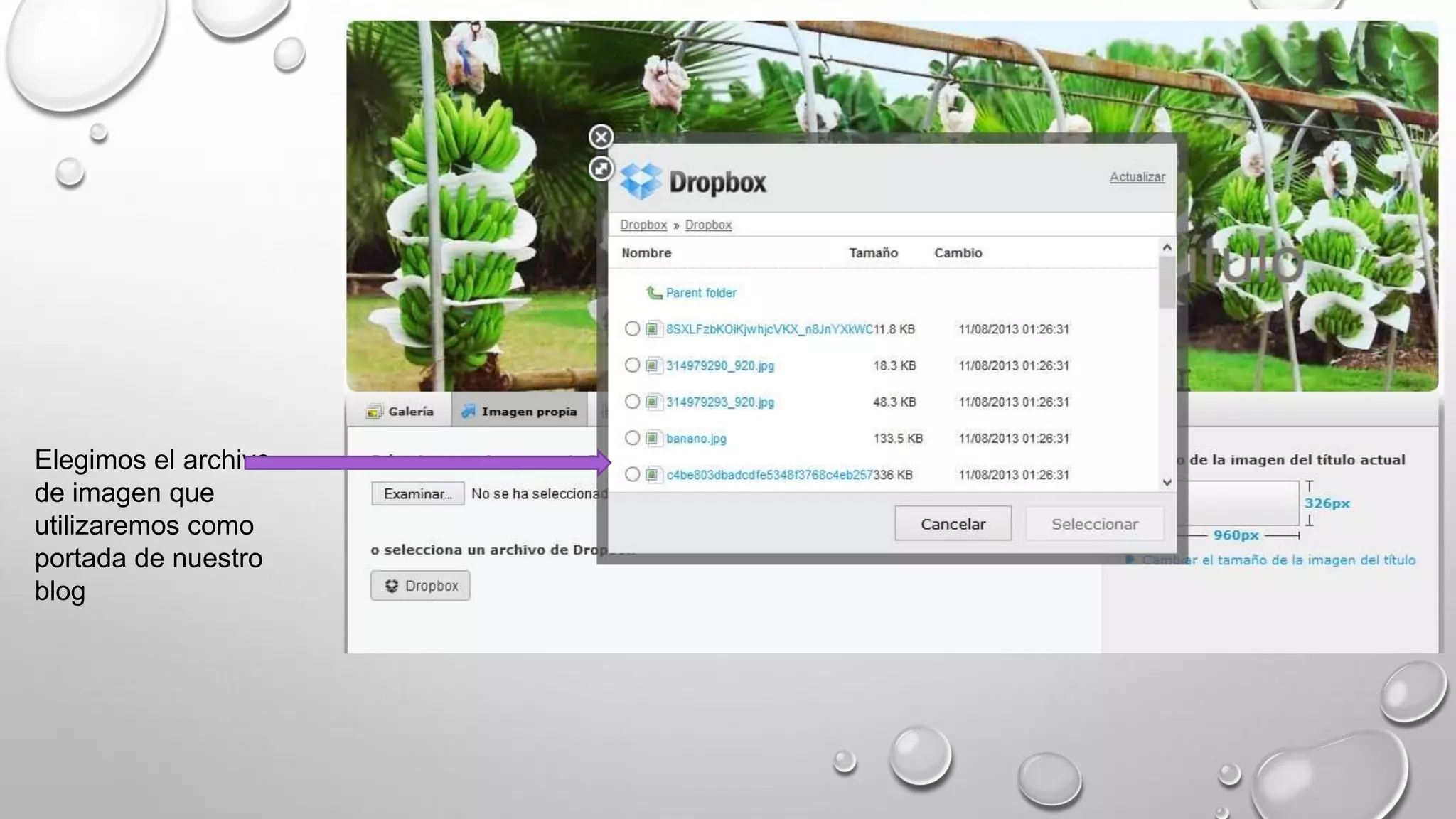 Elegimos el archivo
de imagen que
utilizaremos como
portada de nuestro
blog
 