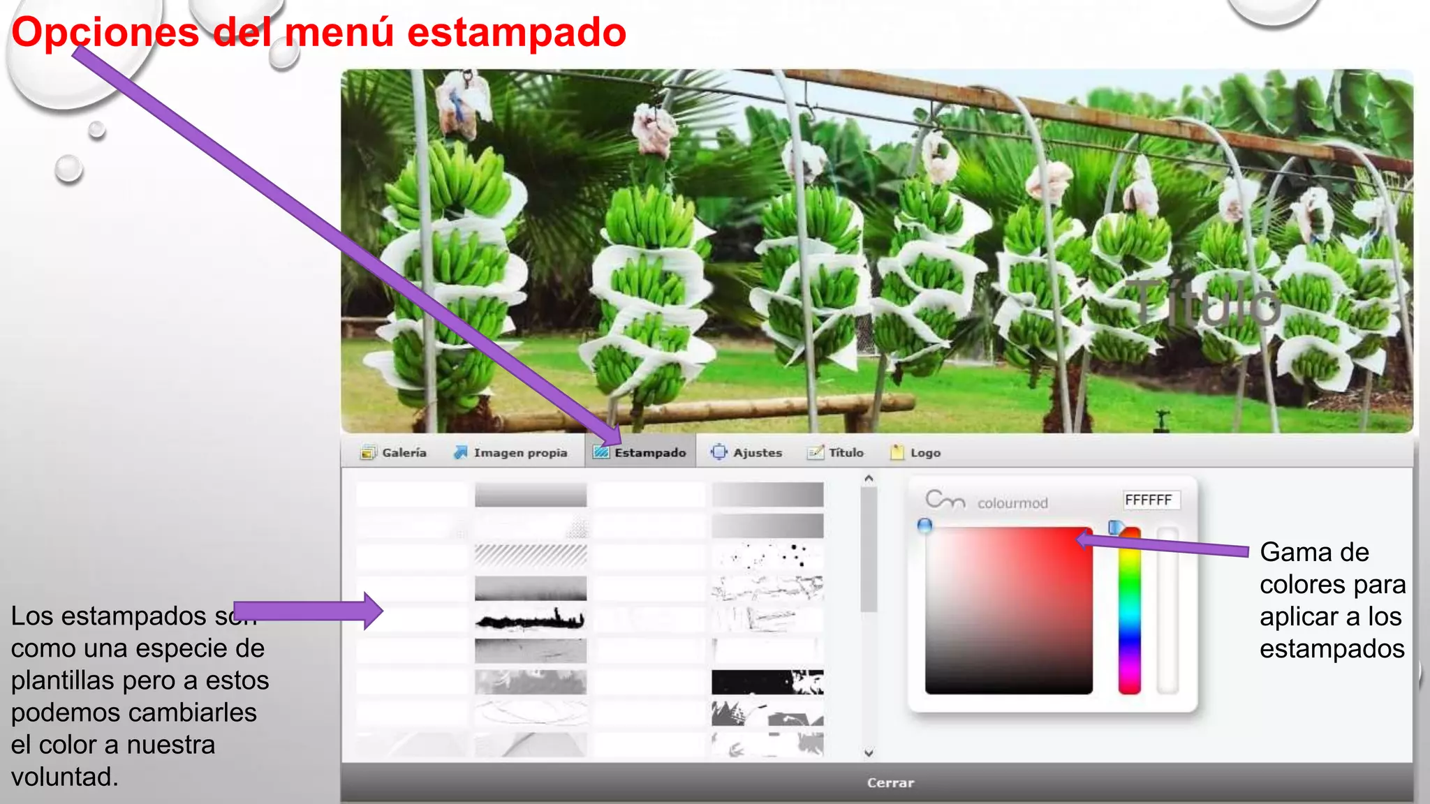 Opciones del menú estampado
Los estampados son
como una especie de
plantillas pero a estos
podemos cambiarles
el color a nuestra
voluntad.
Gama de
colores para
aplicar a los
estampados
 